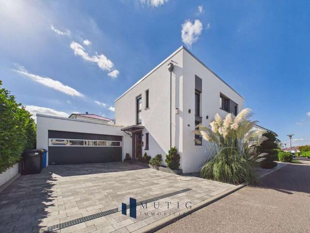 Haus zum Kaufen in Neckarsulm Amorbach 1.339.000,00 EUR 361 m²