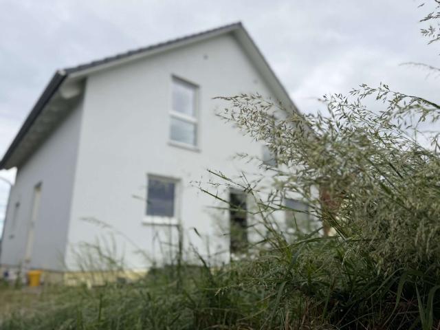 Haus zum Kaufen in Nessetal 298.000,00 EUR 114.39 m²