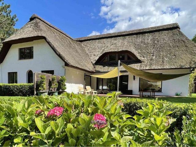 Haus zum Kaufen in Nienburg 1.275.000,00 EUR 535 m²