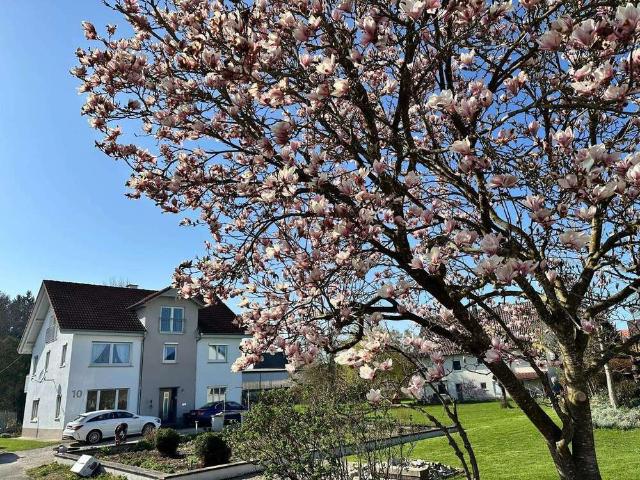 Haus zum Kaufen in Schemmerhofen 430.000,00 EUR 266 m²