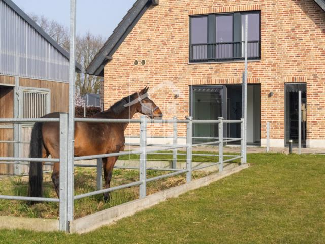 Haus zum Kaufen in Schermbeck 798.800,00 EUR 203.61 m²
