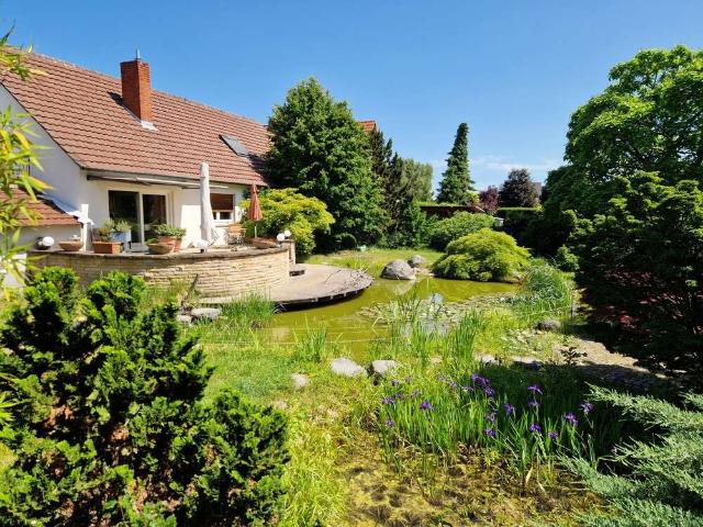Haus zum Kaufen in Schifferstadt 650.000,00 EUR 216.6 m²