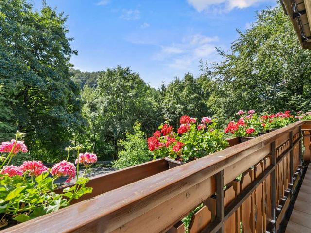 Haus zum Kaufen in Schlangen Kohlstädt 525.000,00 EUR 285 m²