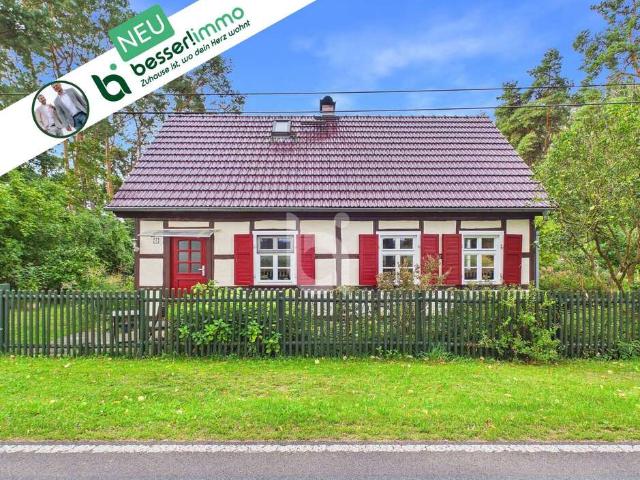 Haus zum Kaufen in Sechzehneichen 329.000,00 EUR 84.65 m²