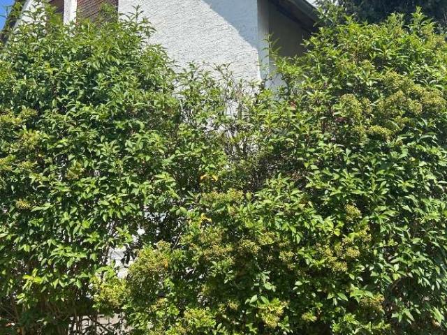 Haus zum Kaufen in Seeheim Jugenheim 449.900,00 EUR 140 m²