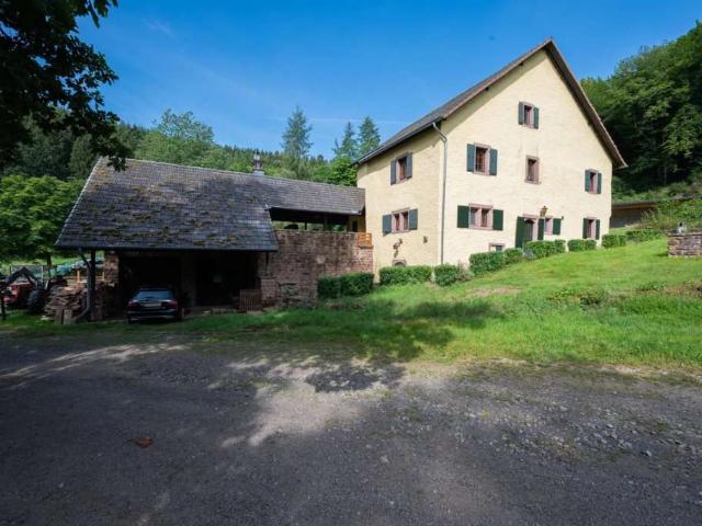 Haus zum Kaufen in Spangdahlem 698.000,00 EUR 240 m²