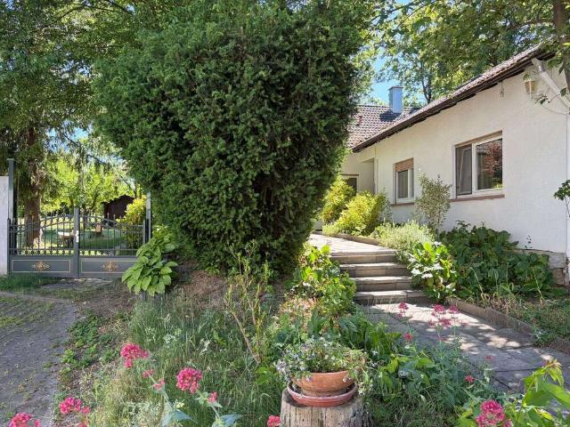 Haus zum Kaufen in Stadecken Elsheim 819.500,00 EUR 258 m²
