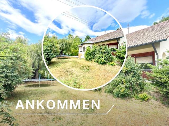Haus zum Kaufen in Steinach 565.000,00 EUR 188 m²