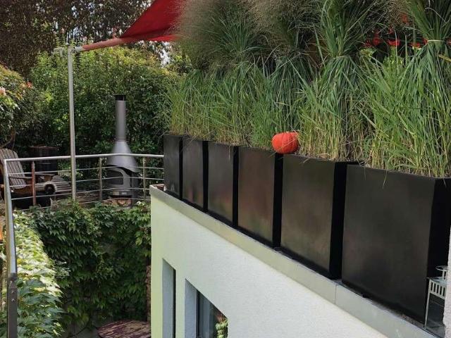 Haus zum Kaufen in Steinbach 825.000,00 EUR 164 m²