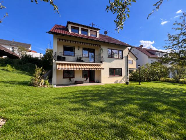 Haus zum Kaufen in Steinheim 698.000,00 EUR 236 m²