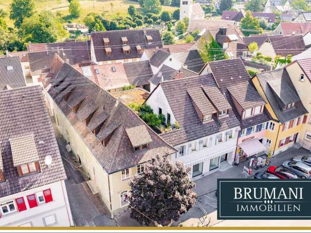 Haus zum Kaufen in Sulzburg 750.000,00 EUR 234 m²