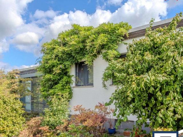Haus zum Kaufen in Swisttal Buschhoven 349.000,00 EUR 123 m²