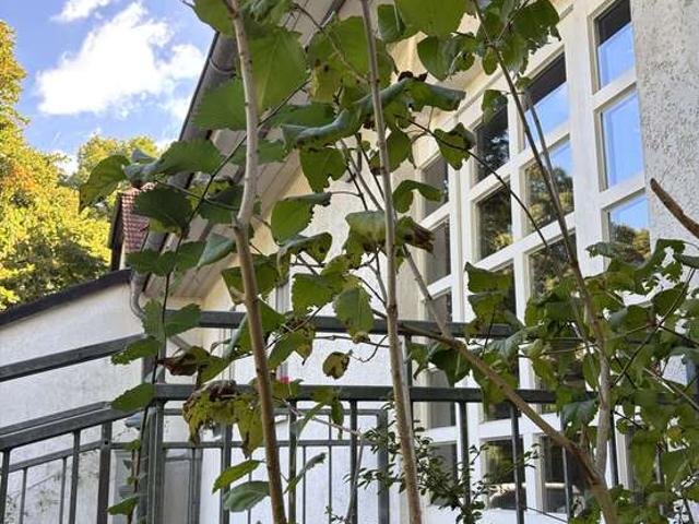 Haus zum Kaufen in Potsdam 680.000,00 EUR 179 m²