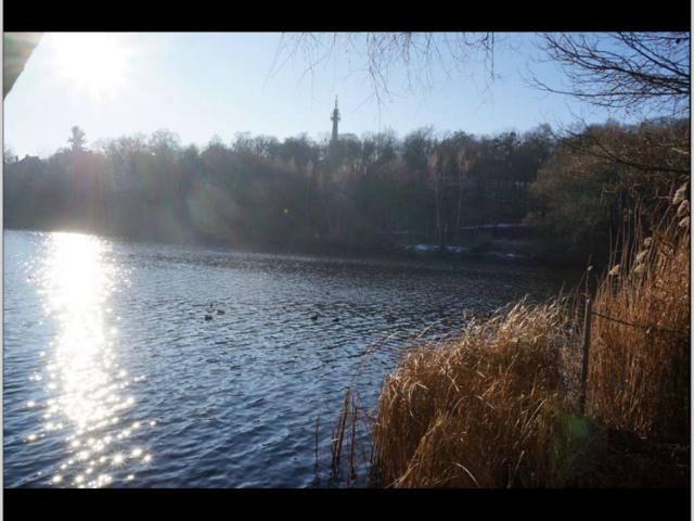 Haus zum Kaufen in Potsdam 1.150.000,00 EUR 207.57 m²