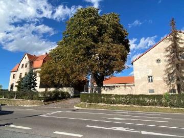 Haus zum Kaufen in Pirna Krietzschwitz 549.000,00 EUR 198 m²