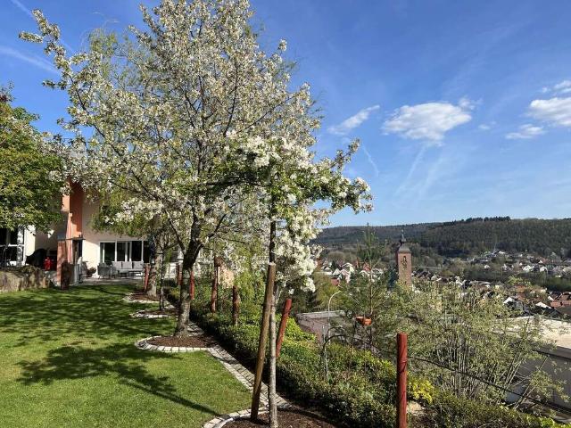Haus zum Kaufen in Rodalben 1.790.000,00 EUR 350 m²