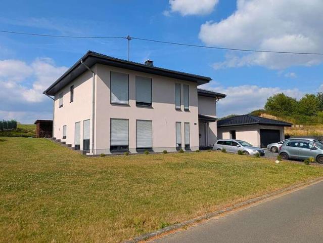 Haus zum Kaufen in Rodenbach 695.000,00 EUR 290 m²
