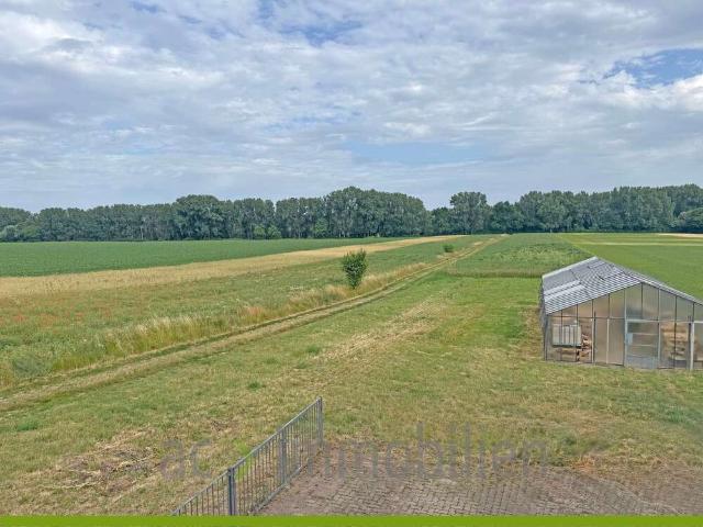 Haus zum Kaufen in Römerberg 490.000,00 EUR 228 m²