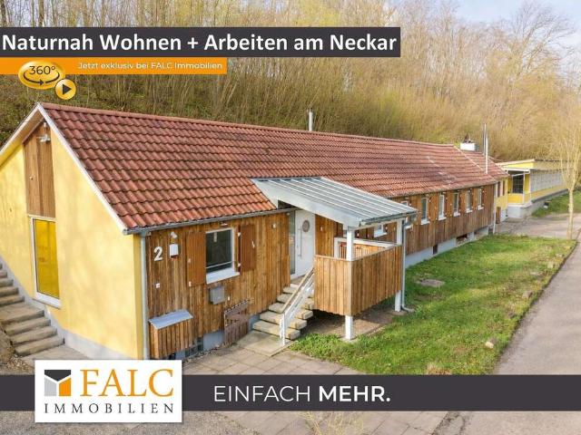 Haus zum Kaufen in Reutlingen 639.000,00 EUR 161 m²