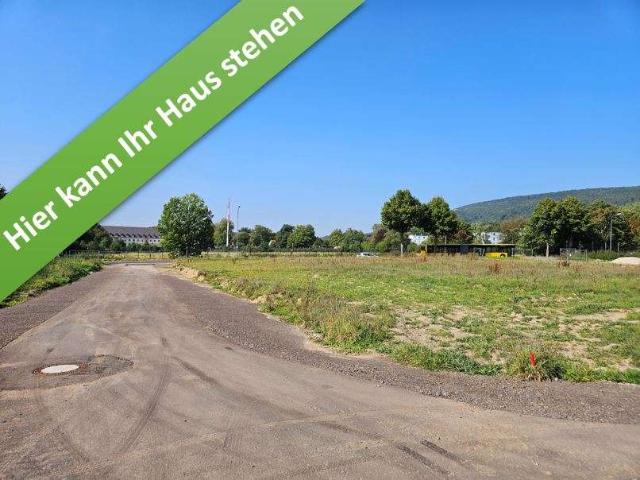 Haus zum Kaufen in Rinteln 395.750,00 EUR 136 m²