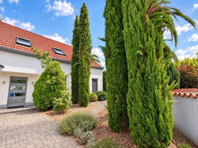 Haus zum Kaufen in Worms 875.000,00 EUR 221.33 m²