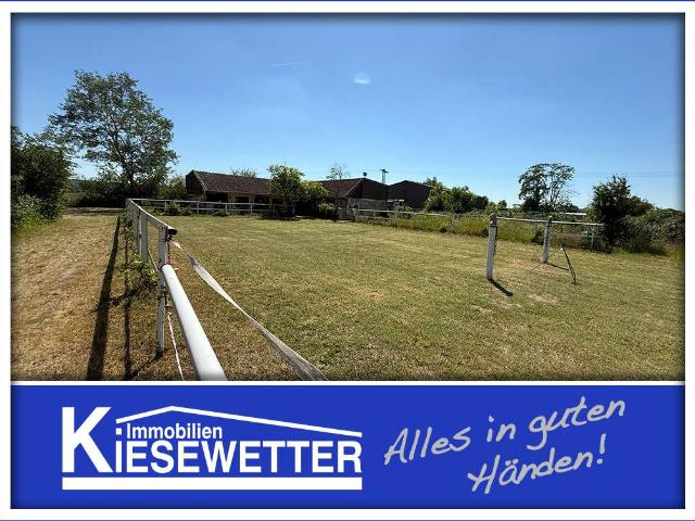 Haus zum Kaufen in Worms 998.000,00 EUR 300 m²