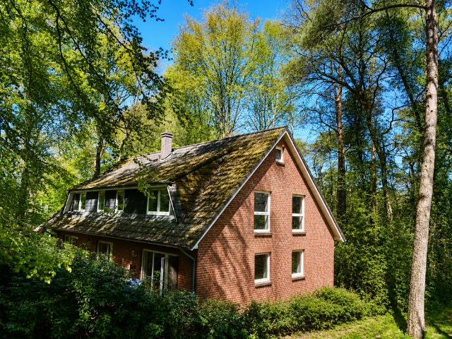 Haus zum Kaufen in Worpswede 650.000,00 EUR 250 m²