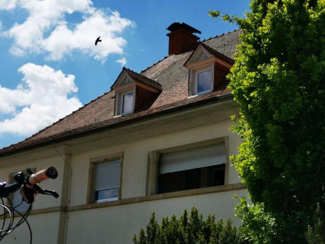 Haus zum Kaufen in Wörrstadt 499.000,00 EUR 220 m²