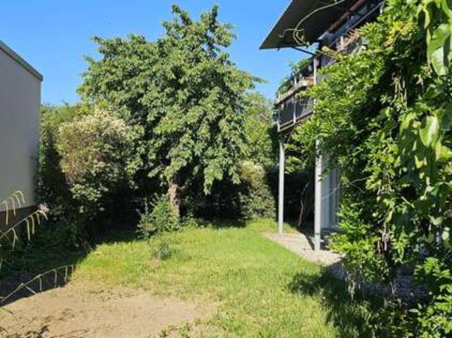 Haus zum Kaufen in Wachenheim an der Weinstraße 649.000,00 EUR 180 m²