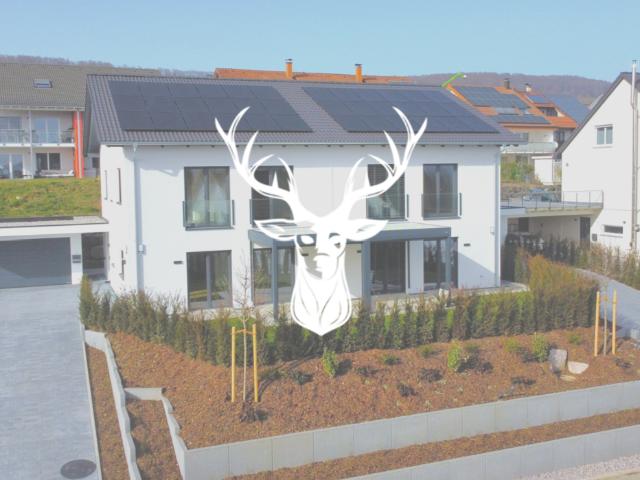 Haus zum Kaufen in Waldshut Tiengen 849.000,00 EUR 151 m²