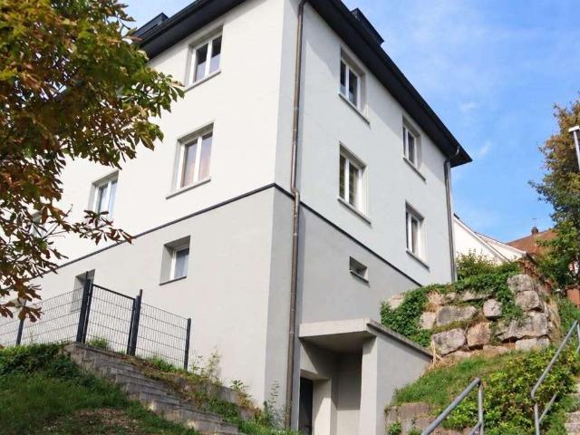 Haus zum Kaufen in Waldshut Tiengen 1.190.000,00 EUR 355 m²