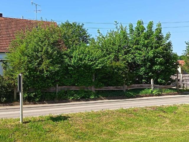 Haus zum Kaufen in Walkertshofen 439.000,00 EUR 142 m²