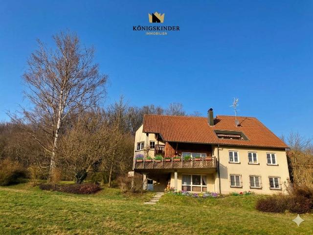 Haus zum Kaufen in Wangen 995.000,00 EUR 447 m²