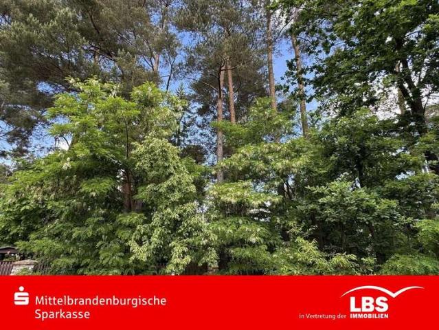 Haus zum Kaufen in Wandlitz 260.000,00 EUR 25 m²