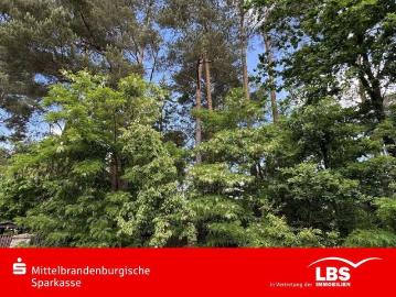 Haus zum Kaufen in Wandlitz 260.000,00 EUR 25 m²