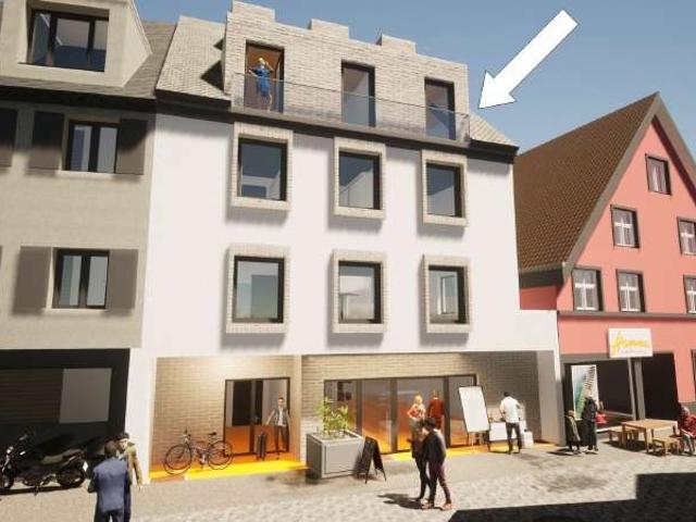 Haus zum Kaufen in Weingarten 650.000,00 EUR 455 m²