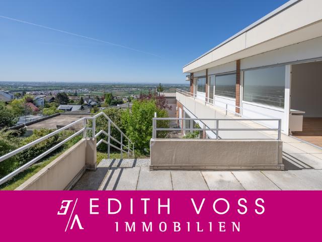 Haus zum Kaufen in Weinheim 1.250.000,00 EUR 246 m²