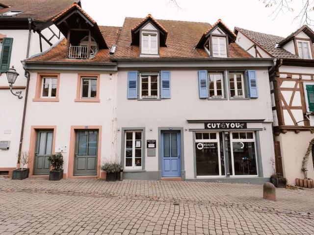 Haus zum Kaufen in Weinheim 1.350.000,00 EUR 346 m²