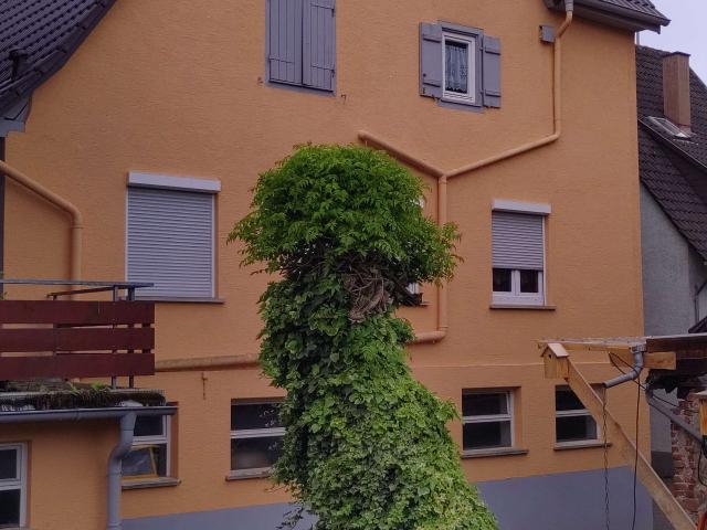 Haus zum Kaufen in Weissach 274.000,00 EUR 225 m²
