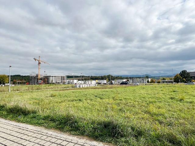 Haus zum Kaufen in Wernau 699.800,00 EUR 142 m²