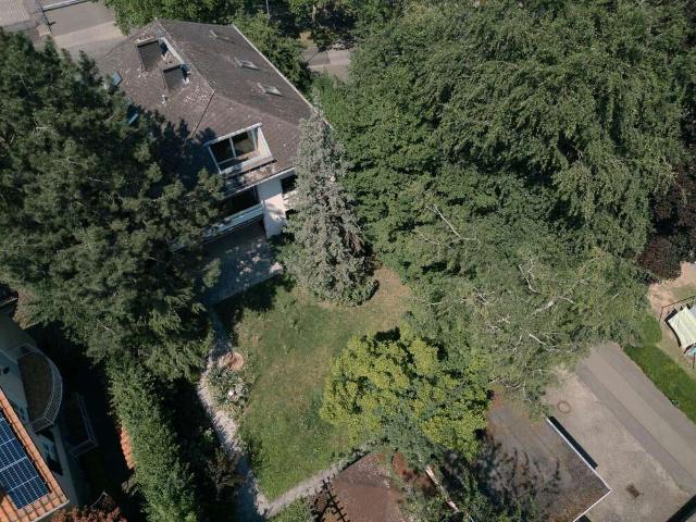 Haus zum Kaufen in Wiesbaden 990.000,00 EUR 311 m²