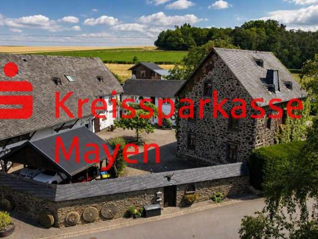 Haus zum Kaufen in Wierschem 1.800.000,00 EUR 623 m²