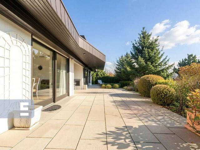 Haus zum Kaufen in Wilhelmsfeld 699.000,00 EUR 274 m²