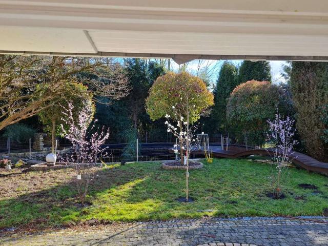 Haus zum Kaufen in Willich Schiefbahn 780.000,00 EUR 225 m²