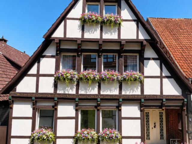 Haus zum Kaufen in Tecklenburg 490.000,00 EUR 202 m²