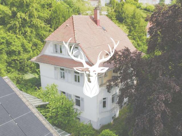 Haus zum Kaufen in Tiengen 499.000,00 EUR 182 m²