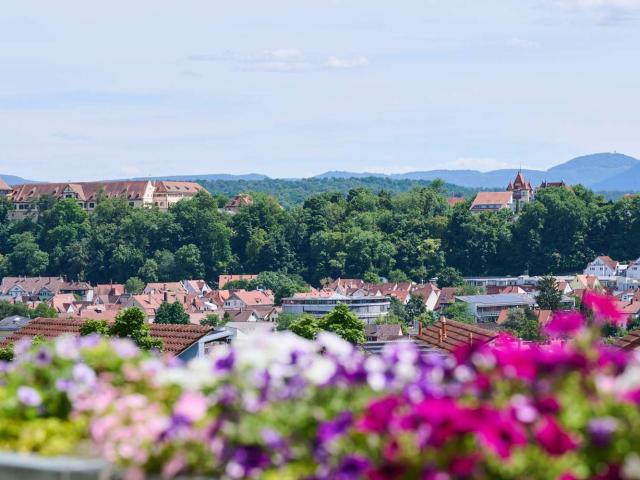 Haus zum Kaufen in Tübingen 2.380.000,00 EUR 355.52 m²