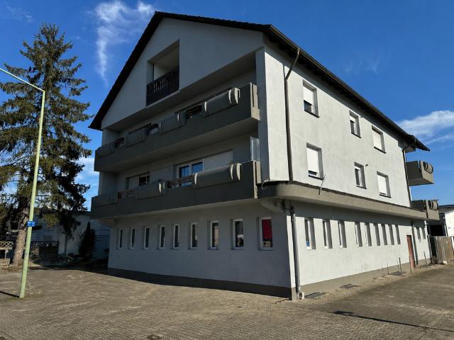 Haus zum Kaufen in Viernheim 2.699.000,00 EUR 964 m²