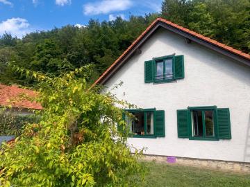 Haus mieten in Bezirk Neunkirchen - Garten