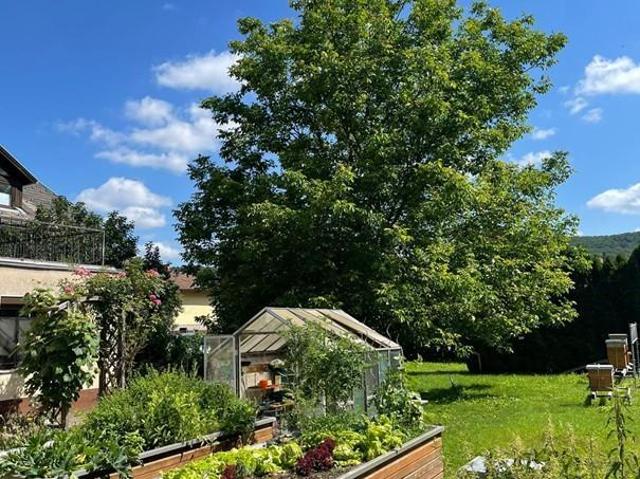 Haus 7 Schlafzimmer Zu Verkaufen Heiligenkreuz AUT 500000 ES105881138